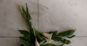 Calla lilies and broken glass from a vase on a tiled floor