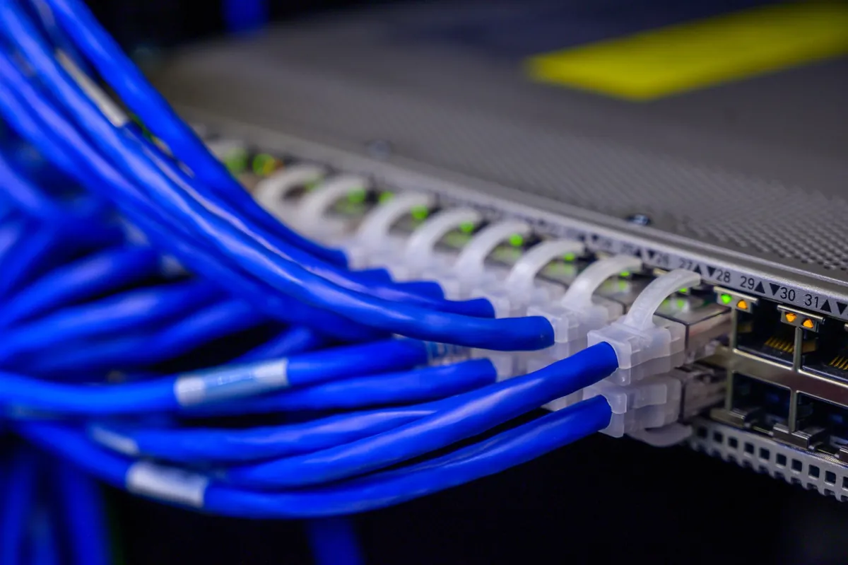 A close-up of blue network patch cables plugged into the front of a rack switch, with green link lights and small port numbers along the row.