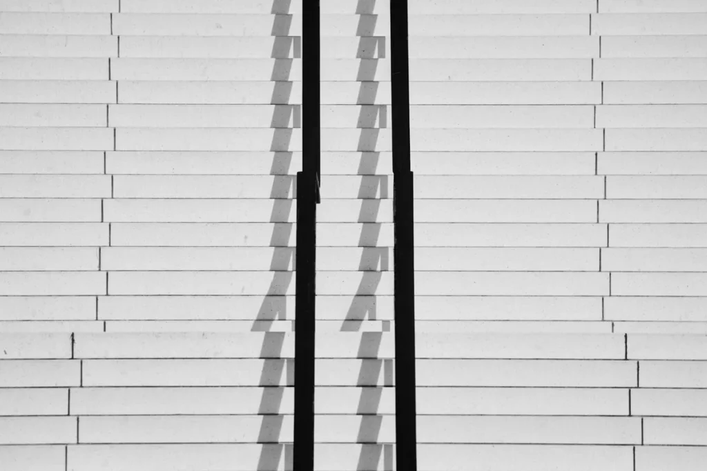 A black and white frame filled with wide concrete steps seen straight on, two dark railing posts standing vertically and their diagonal shadows falling across the treads.