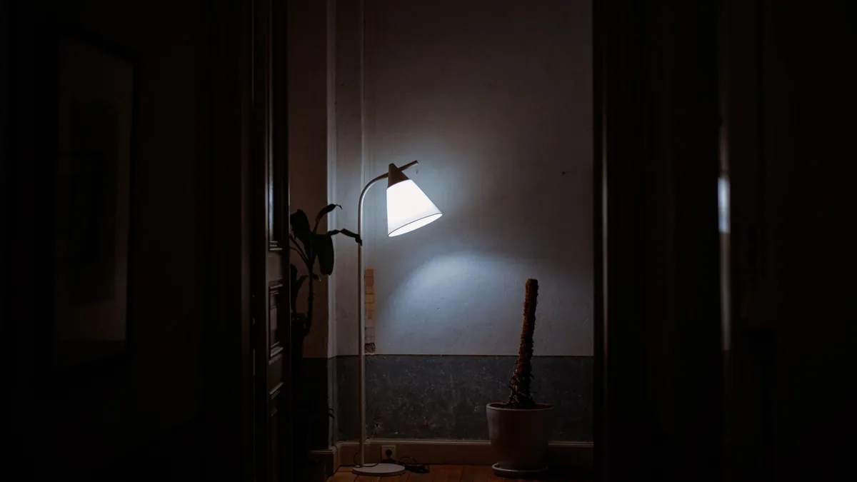 A dark flat at night seen through a doorway, with a slim floor lamp lit against a plain wall, a potted plant and a framed picture in shadow.