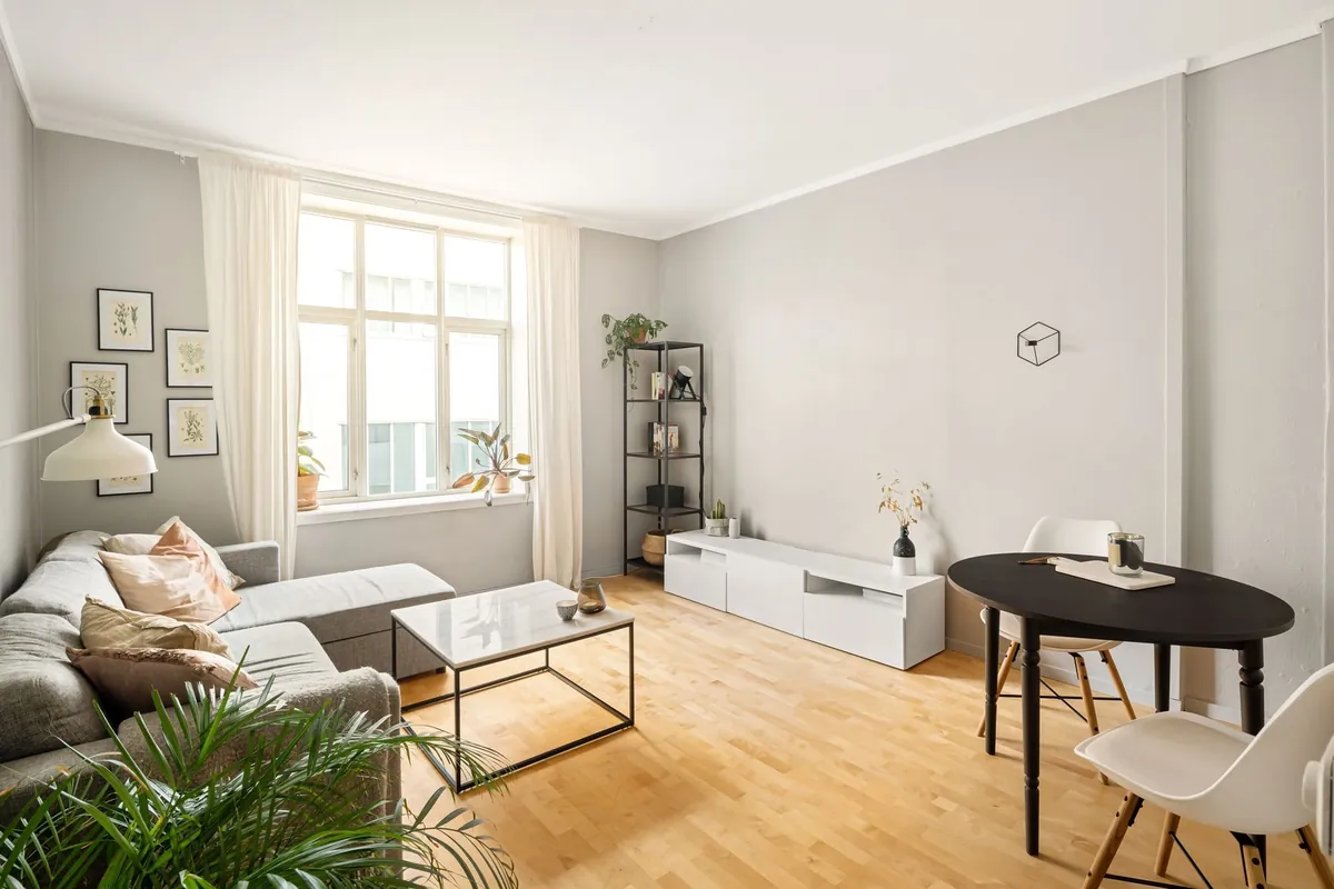 A bright Scandinavian living room with a pale sofa, wooden floor and plants