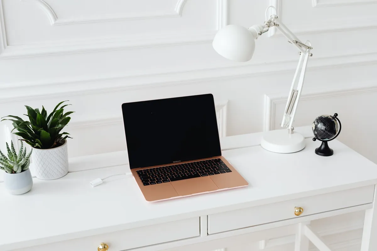 Laptop on a bright desk beside a lamp and green plants.