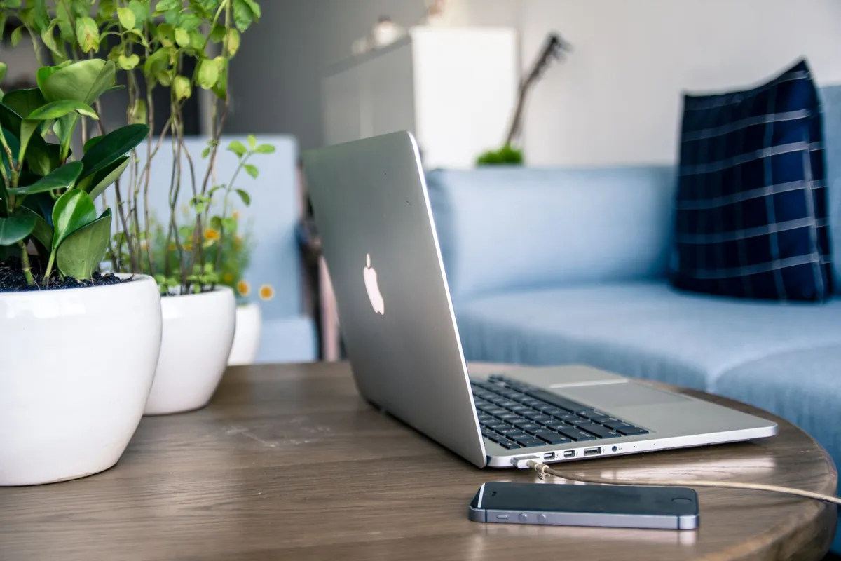 Laptop and smartphone on a wooden table next to potted plants.