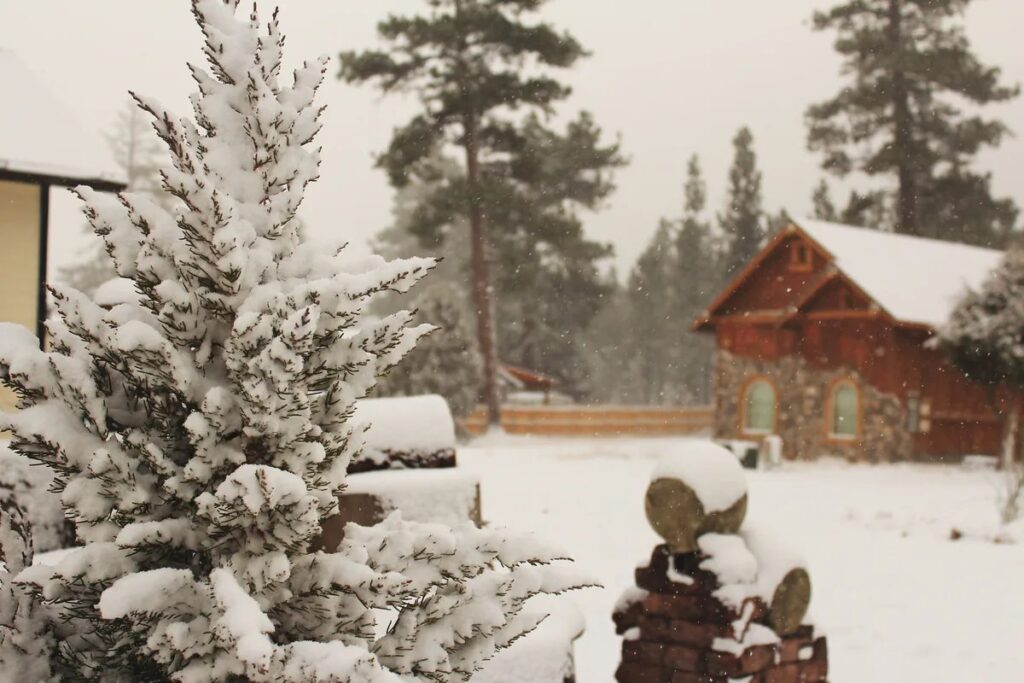 Snow-covered wooden cabin with a stone chimney among tall snowy pines in winter