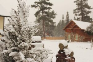 Snow-covered wooden cabin with a stone chimney among tall snowy pines in winter