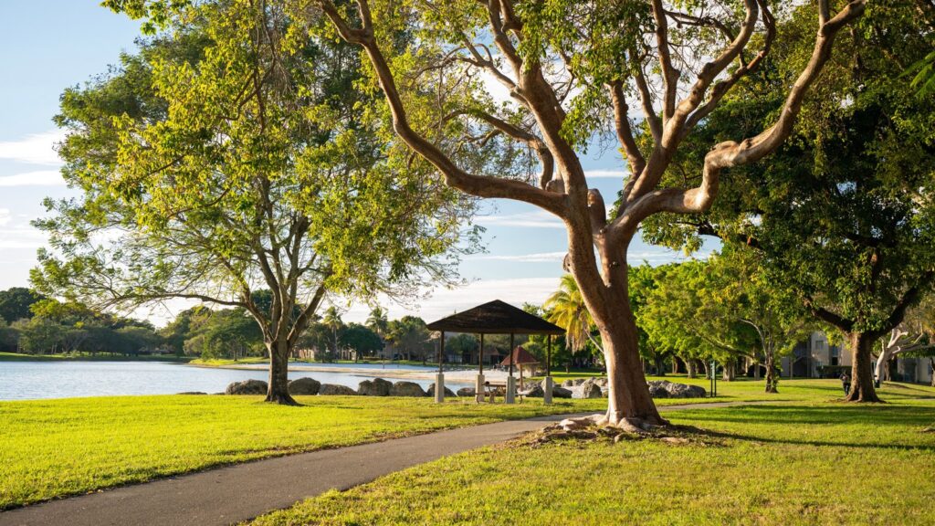 Shaded bench beside a lake on a tree-lined park path