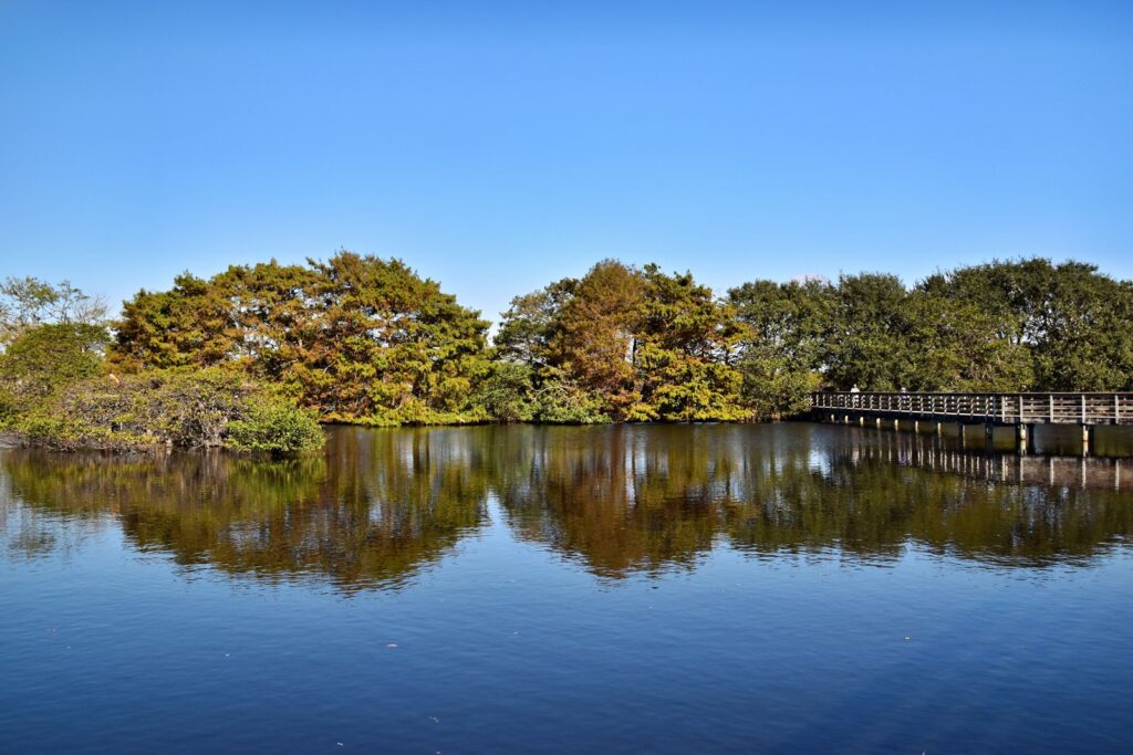 A calm lake with a wooden boardwalk extending toward the water in Delray Beach, Florida.