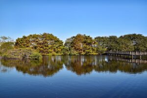 A calm lake with a wooden boardwalk extending toward the water in Delray Beach, Florida.