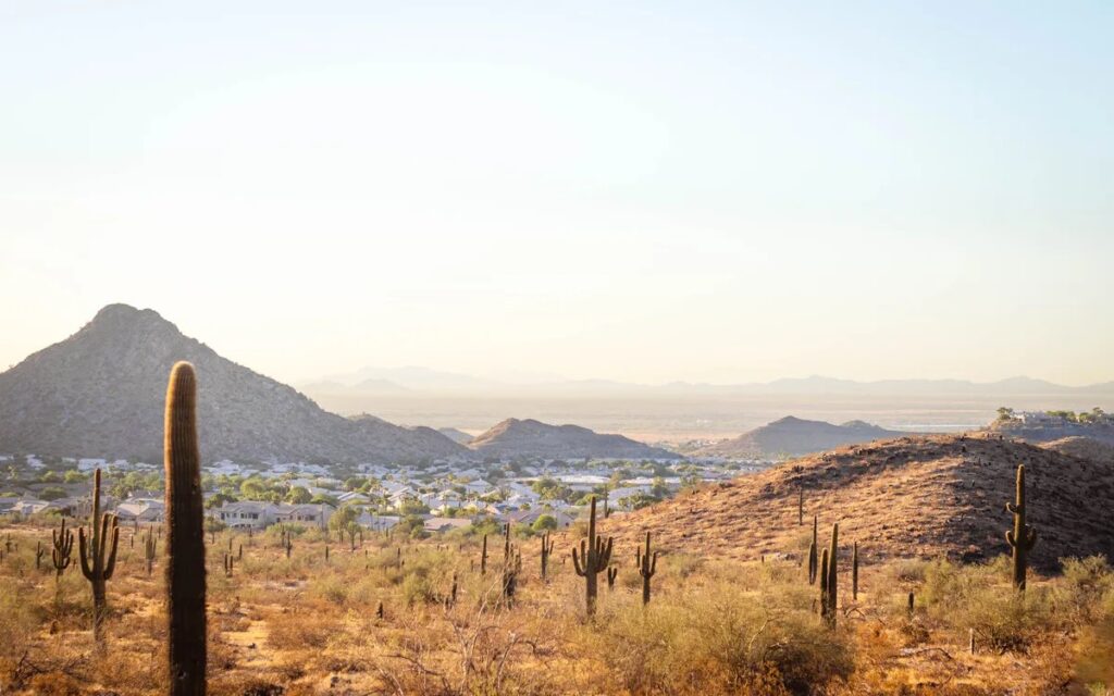 Sonoran desert landscape with saguaro cacti, a mountain, and homes near Scottsdale, Arizona