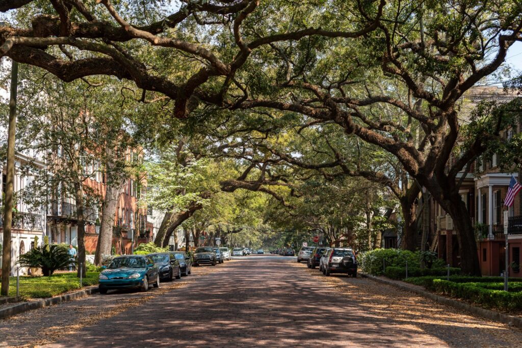 Historic street with oak trees and classic brick and stone buildings in Savannah
