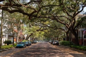 Historic street with oak trees and classic brick and stone buildings in Savannah